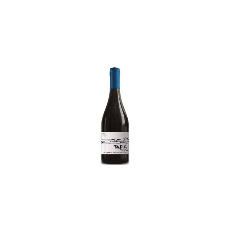 TARA PINOT NOIR 2013