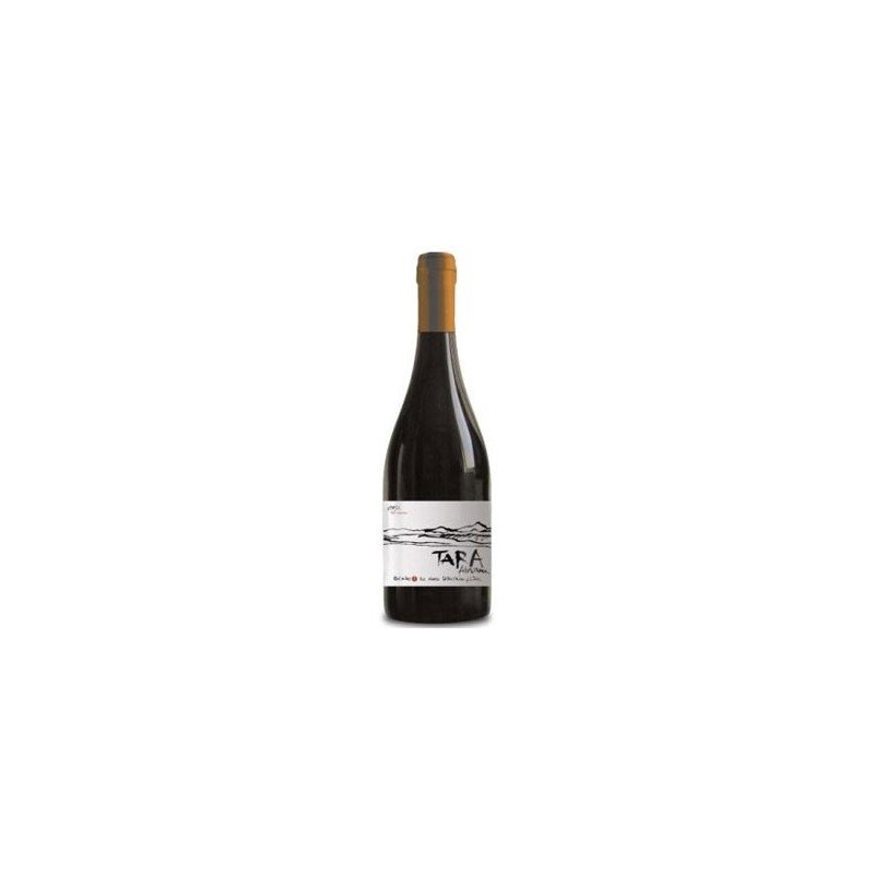 VENTISQUERO TARA SYRAH 2013