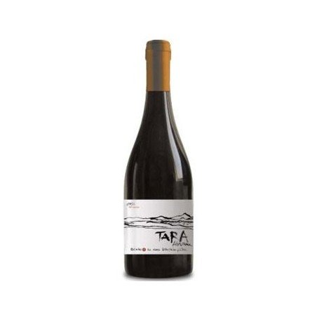 VENTISQUERO TARA SYRAH 2013