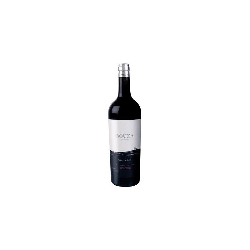 BOUZA TANNAT B2 2013