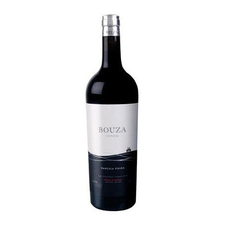 BOUZA TANNAT B2 2013