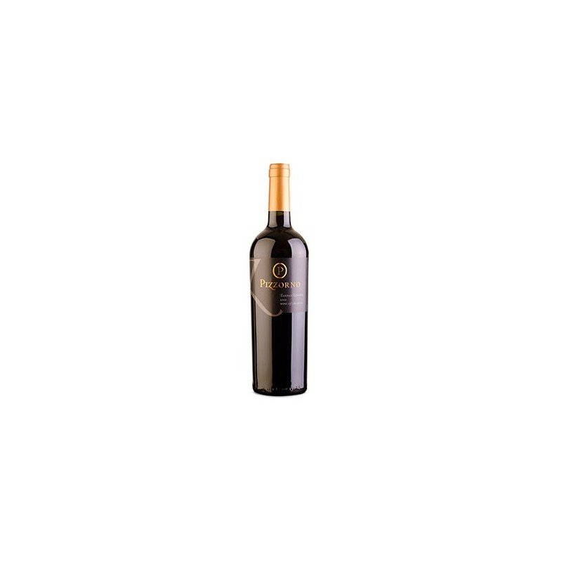 PIZZORNO TANNAT RESERVA 2011