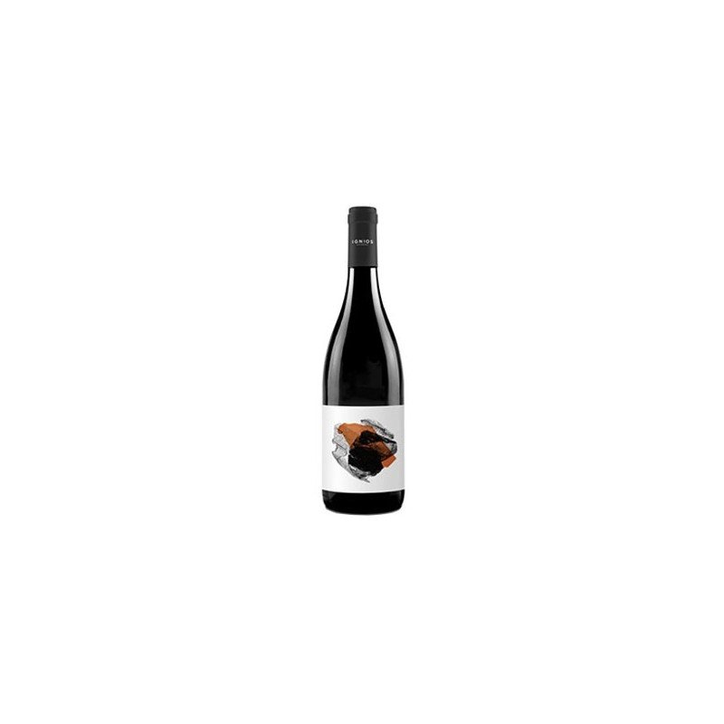 IGNIOS VIJARIEGO NEGRO 2014